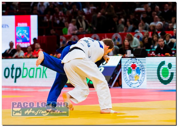 Paris 2014 by P.Lozano cat -81 kg_PLM3276